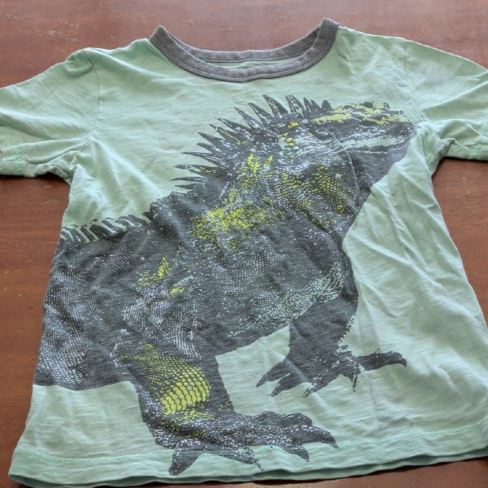 Green Iguana Galapagos Boys T